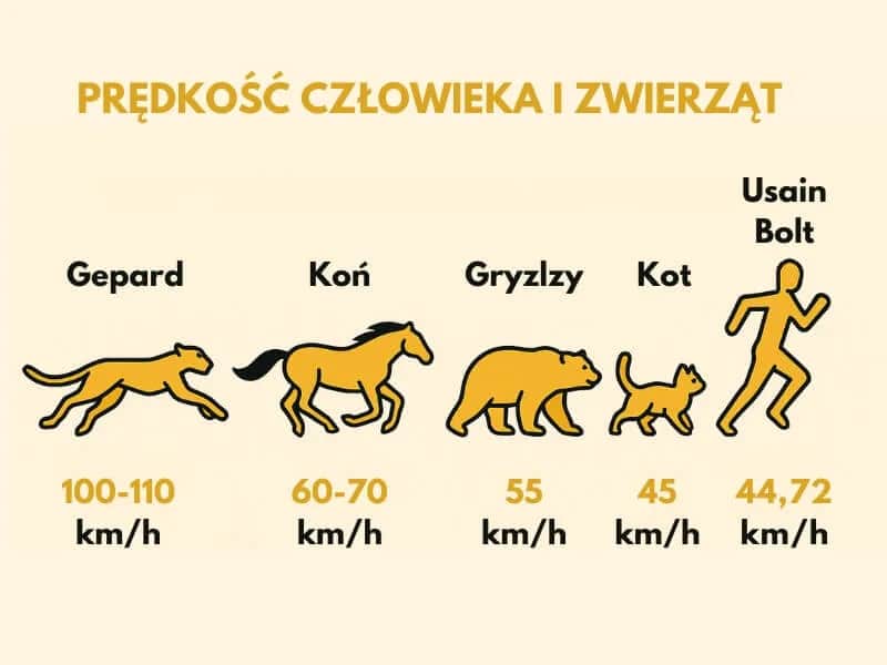 Jak szybko biega człowiek? Odkryj średnie prędkości i porady